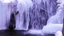 1 Hour of Calming Snowy Water Stream: Serene Sounds in Frozen Forest
