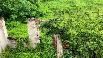20 Minutes Rain - Soft Rain With Thunder Background