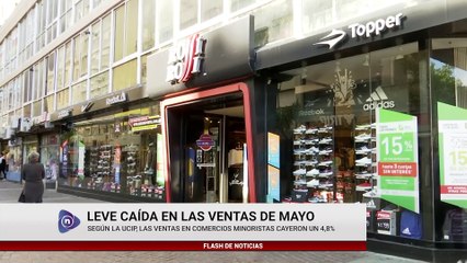 LEVE CAÍDA EN LAS VENTAS DE MAYO