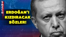 Siyaset Bilimciden Çok Konuşulacak Erdoğan Çıkışı! Deniz Zeyrek Sorusuna Gündem Olacak Yanıt!