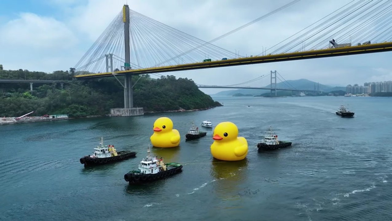 Giant rubber ducks float down Hong Kong river