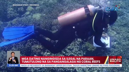 Mga dating nangingisda sa ilegal na paraan tumutulong na sa pangangalaga ng coral reefs | UB