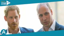 William et Harry : leur rencontre secrète avec l’ancien majordome de Diana