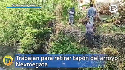 Trabajan para retirar tapón del arroyo Nexmegata ¡Buscan protegerlos de desbordamientos!