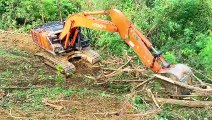 Unleashing Power Hitachi 210 MF Excavator Breaks Large Wood in Plantation