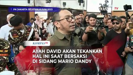 Ayah David Akan Tekankan Hal Ini dalam Kesaksian Sidang Mario Dandy
