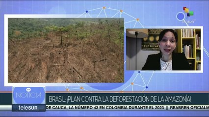 Experta analiza los desafíos para la implementación del plan de deforestación de la Amazonía