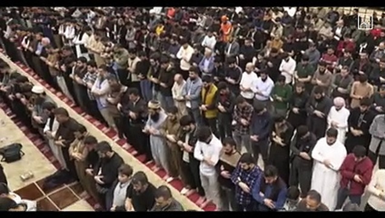 سورة الفرقان كاملة الشيخ رعد الكردي_v240P