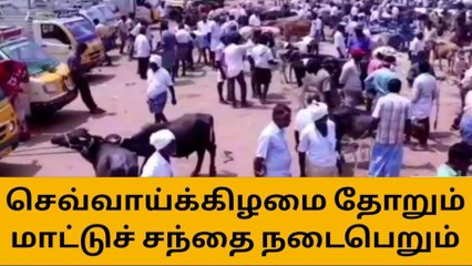 திருப்பூர்: ஜூன் 20-ம் தேதி முதல் அமல்-ஆட்சியர் முக்கிய அறிவிப்பு