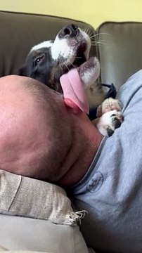 Wet Willy From Cuddly Puppy's Tongue