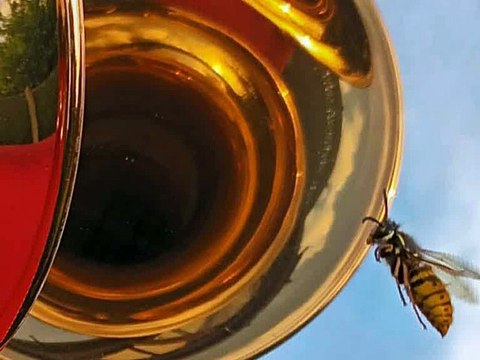 L'ABEILLE FANTAISIE POUR trompettes et percussions N°3 second mvt