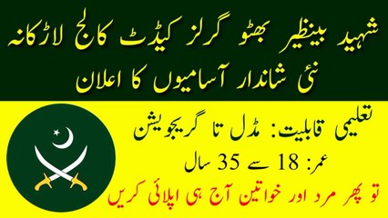 SBB Girls Cadet College Larkana Jobs 2023 | Today All Jobs