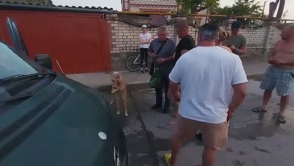 Ukrainian volunteers evacuate animals from flooded Kherson region