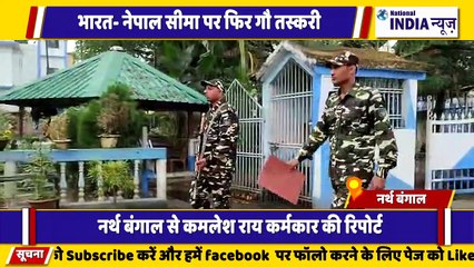 बंगाल में भारत सीमा नेपाल बॉर्डर पर गौ तस्करों को पुलिस ने गिरफ्तार किया 49 गाय को छुड़ाया