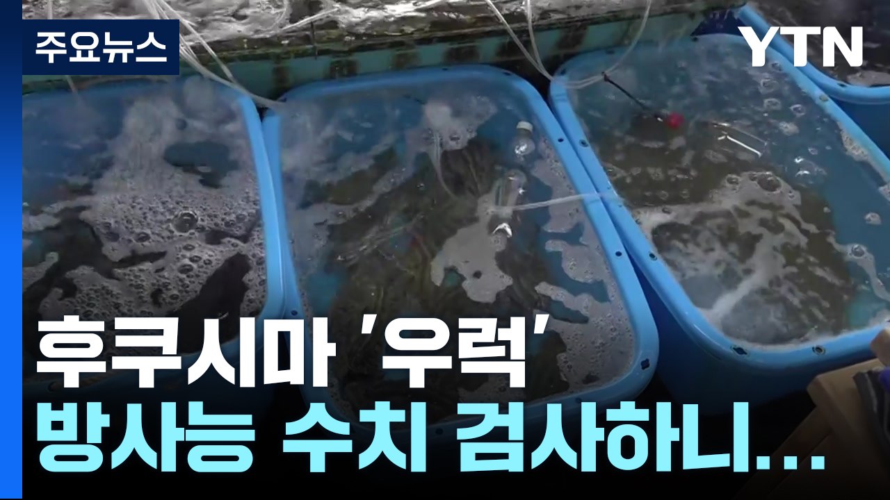 후쿠시마 원전 앞바다 잡힌 '우럭' 세슘 검출...기준치 180배 / YTN