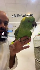 Amazonparrot# funnyanimals funnyvideo