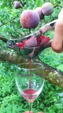 Very Emotional Short Clip Bayan _ Moulana Tariq Jameel