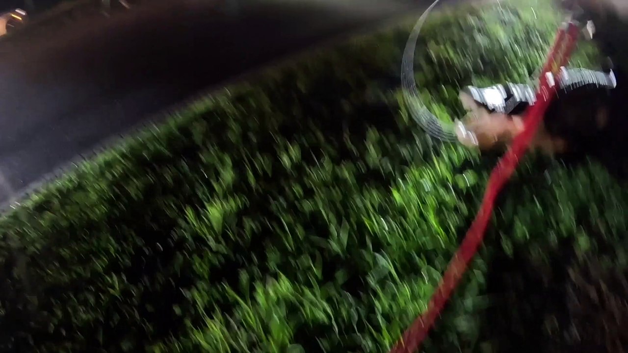 Wildlife Control Captures Pesky Alligator