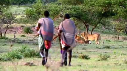 When Humans Become The Apex Predator That No Animal Can Escape !!