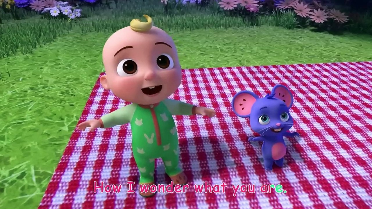 Twinkle Twinkle Little Star - CoComelon Animal Time - Animal Lullabies for Kids