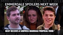 Emmerdale spoilers _ Nicky receives a surprise marriage proposal from Ally _ #em