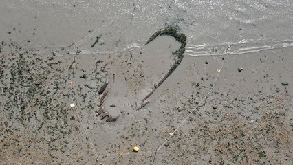 전남 해남 해변에서 고선박 추정 목선 발견 / YTN