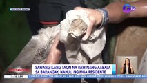 Sawang ilang taon na raw nang-aabala sa barangay, nahuli ng mga residente | BT