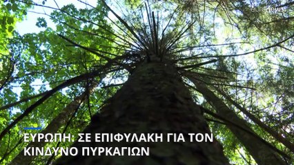 Ευρώπη: Ξεκίνησαν οι μίνι καύσωνες- Σε αυξημένη επιφυλακή για δασικές πυρκαγιές