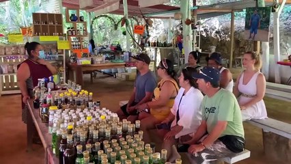 Huatulco! What to do in Huatulco, Oaxaca Mexico Amazing waterfall tour in the jungle!