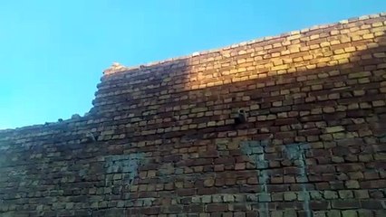 Today whole construction work