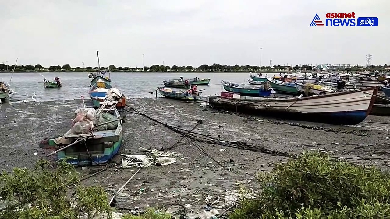 Watch : இலங்கைக்கு கடத்த இருந்த 43 பண்டல் பீடி இலைகள் பறிமுதல்! கியூ பிரிவு போலீசார் விசாரணை!