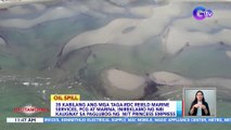 35 kabilang ang mga taga-RDC Reield Marine Services, PCG at Marina, inireklamo ng NBI kaugnay sa paglubog ng M/T Princess Empress | BT