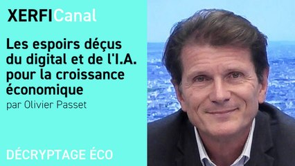 Les espoirs déçus du digital et de l'I.A. pour la croissance économique [Olivier Passet]