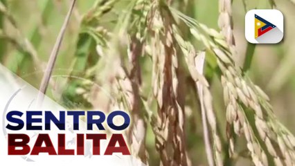 Tulong ng DAR sa pamamagitan ng ‘Kapatid Angat Lahat Agri Program’, kinilala ni Private Sector Lead for Jobs Joey Concepcion