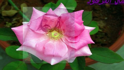 القران الكريم تلاوة خاشعة