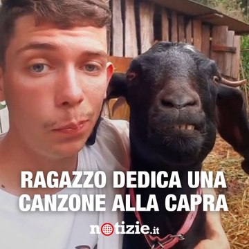Dedica canzoni alla sua capra: la reazione dell'animale