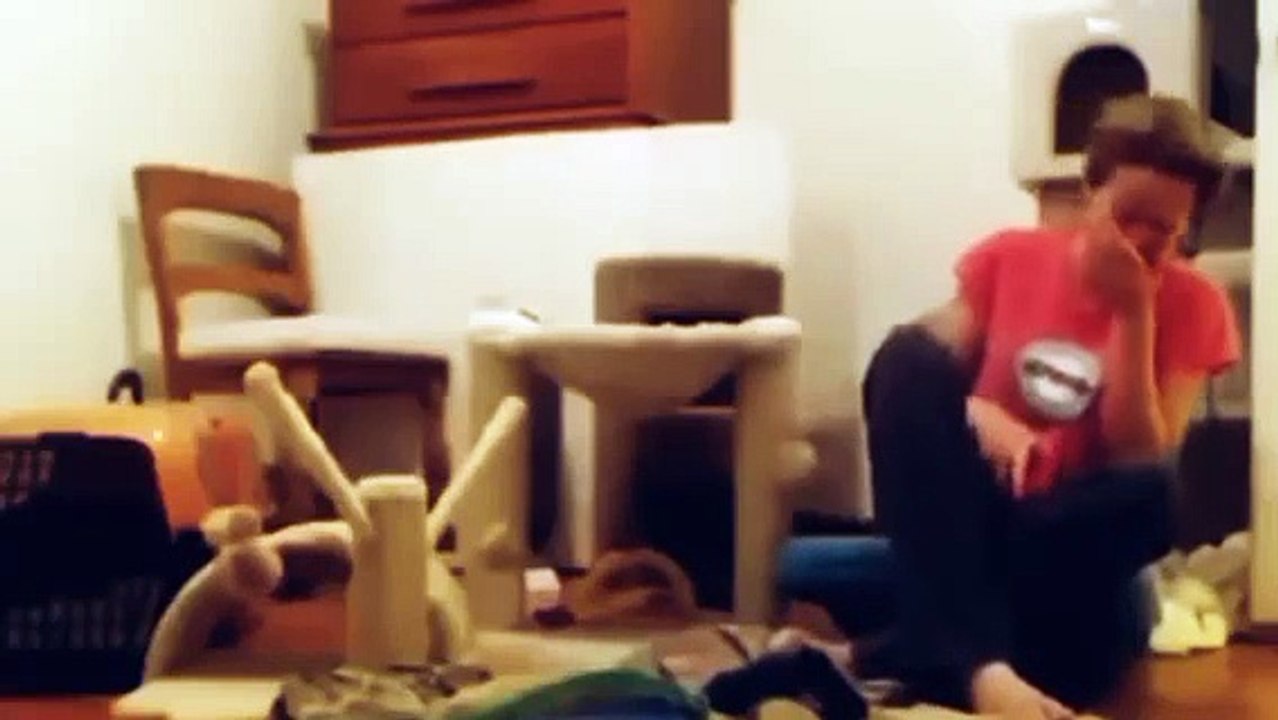 Funny Animal Videos 2023  - Funniest Cats And Dogs Video #PochBuddies #funnypetsvide #cat, Youtubeshorts, dailyshorts, googleshorts, ytshorts, dailymotion video, google new funny dog video,