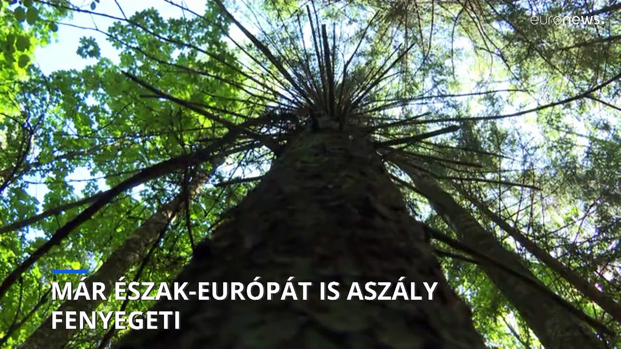 Már Európa északi részét is aszály fenyegeti