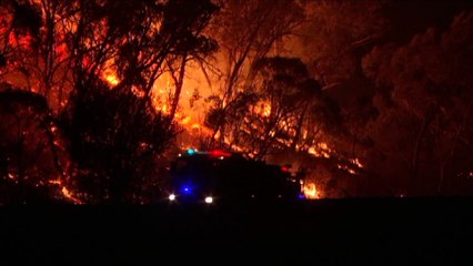 Helicopter incident that sparked Canberra blaze examined