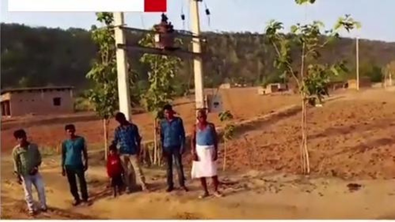 सोनभद्र: बिजली विभाग की बड़ी लापरवाही, दस महीने से अंधेरे में डूबा है ये गांव