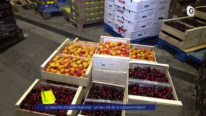 Reportage - Le Marché d'Intérêt National : un lieu clé de la consommation - Reportages - TéléGrenoble