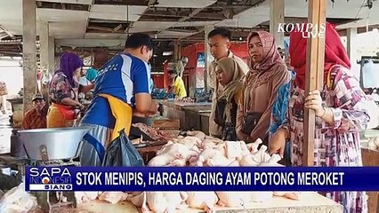 Download Video: Stok Menipis, Harga Daging Ayam Potong di Kabupaten Sumenep Meroket, Tembus Rp 40 Ribu/Kg