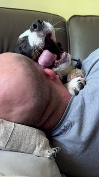 Wet Willy From Cuddly Puppy's Tongue