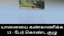 குமரி: அரிசி கொம்பன் யானையை கண்காணிக்க 13 பேர் கொண்ட குழு!