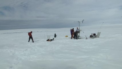 El hielo del Ártico se derretirá por completo entre 2030 y 2050