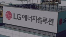 [기업] LG에너지솔루션, 호주 업체와 음극재 협력 투자 계약 / YTN