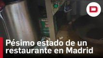 Mugre, marisco ilegal y salidas tapiadas: el insalubre estado de un restaurante chino en Madrid