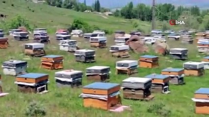 Göçer arıcıların mesaisi gecikmeli başladı