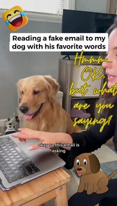 Hmmm Ok... But What Are You Saying?