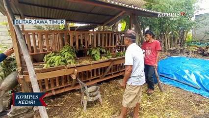 Jelang Idul Adha, Harga Kambing Mulai Merangkak Naik